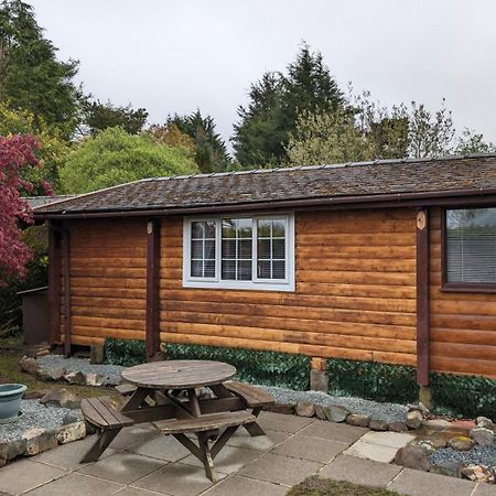 Snowdonia Log Cabin 2 Villa Trawsfynydd Dış mekan fotoğraf